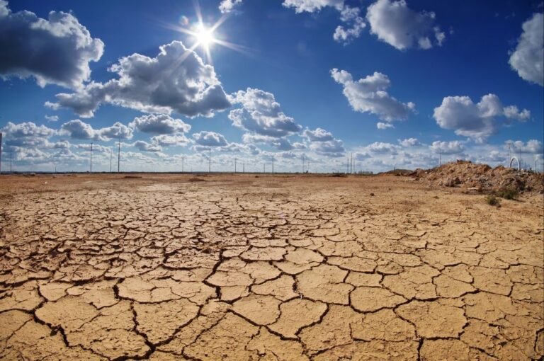 Navigating Climate Change in 2050: A Beginner’s Guide to Climate Change Adaptation